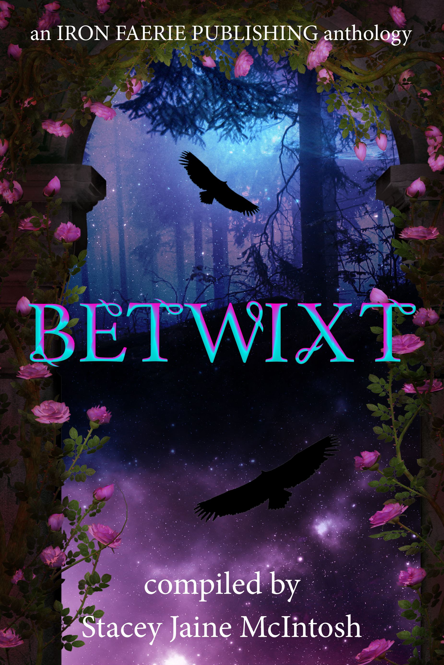 betwixt competition cover